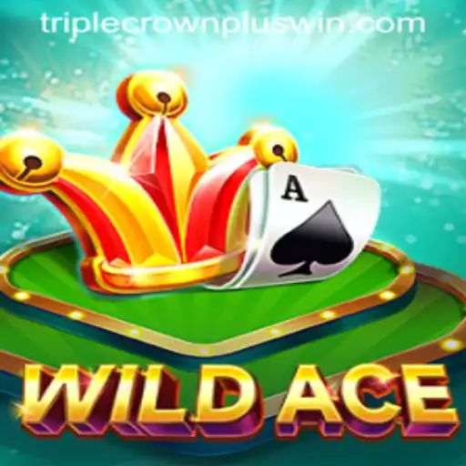 WildAce: The Thrilling Card Game Taking the World by Storm