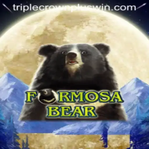 Unleashing the Excitement of FormosaBear